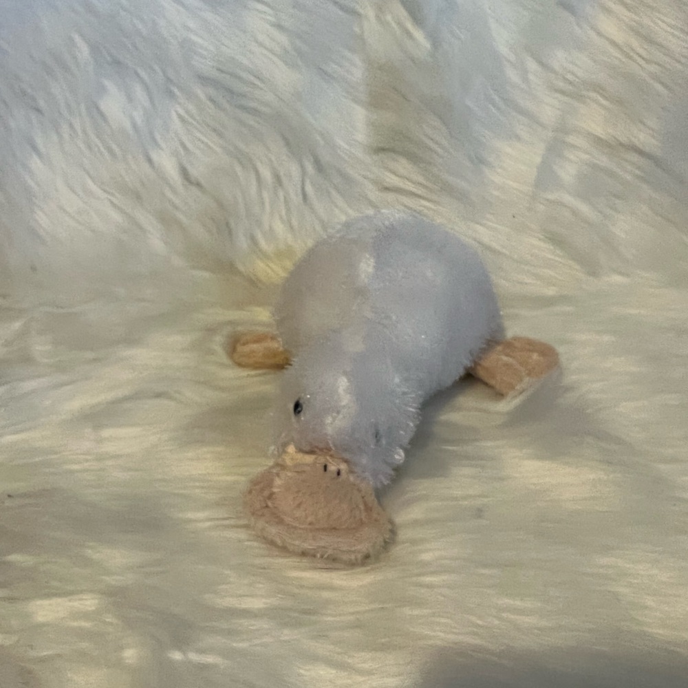 COPY - Ganz webkinz platypus googles no code